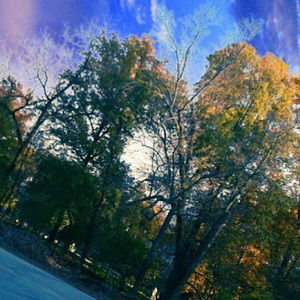 Meet your Posher, Audrey